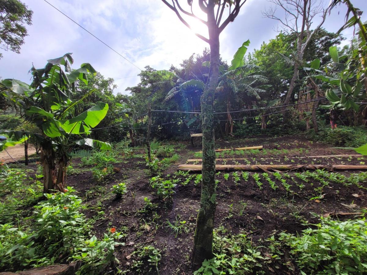 Granja Los Campesinos Monteverde Εξωτερικό φωτογραφία