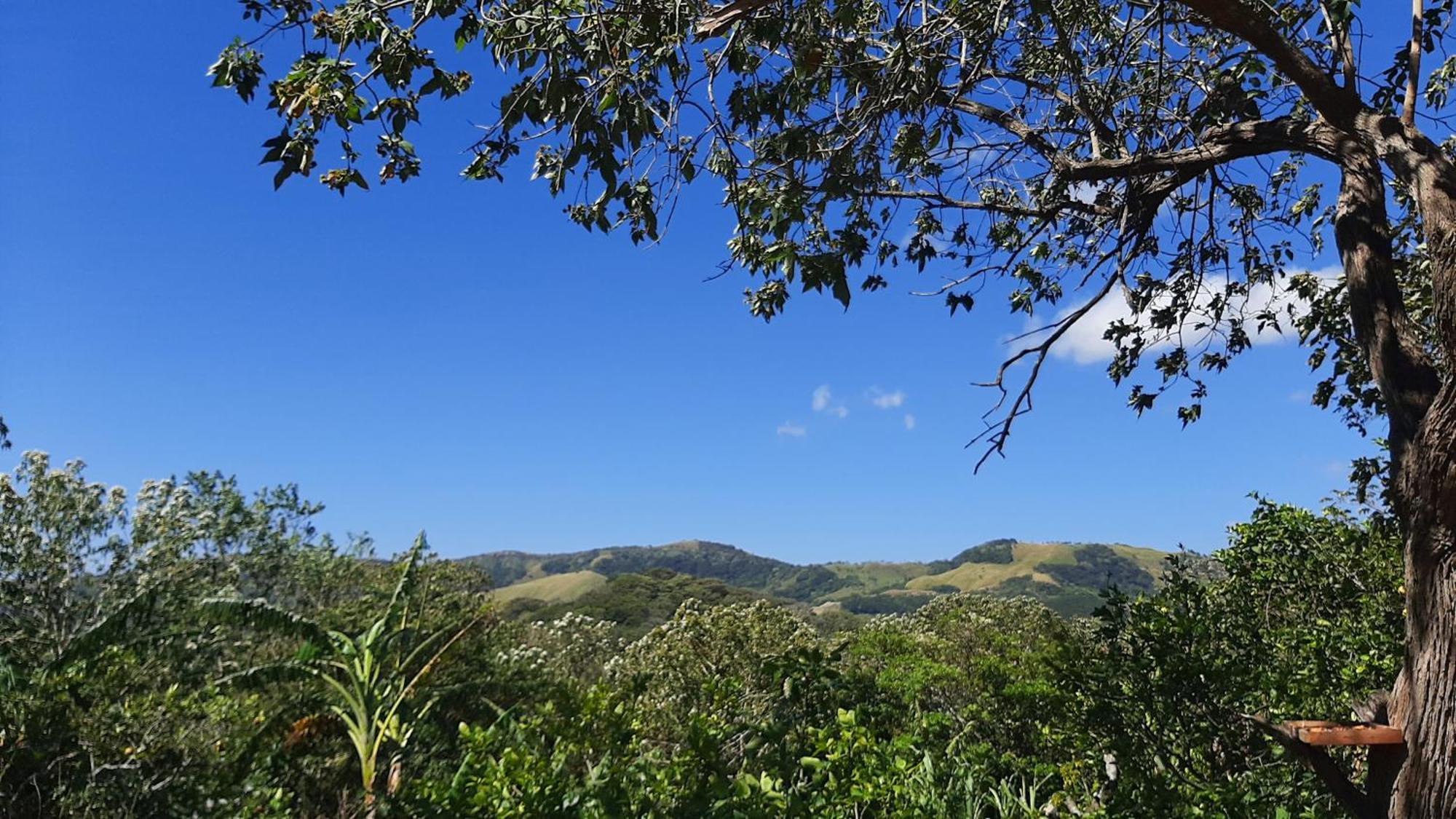 Granja Los Campesinos Monteverde Εξωτερικό φωτογραφία